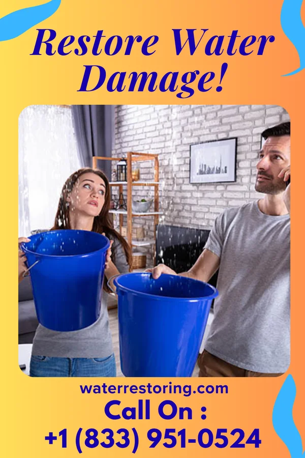 water restoration Prestige Damage Recovery LLC Bedias