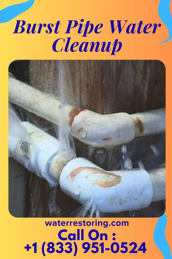 Burst Pipe Water Cleanup in Bedias, TX