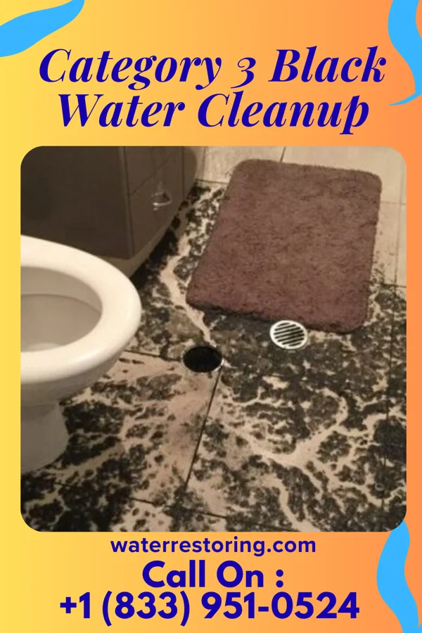 Category 3 Black Water Cleanup in Bedias, TX