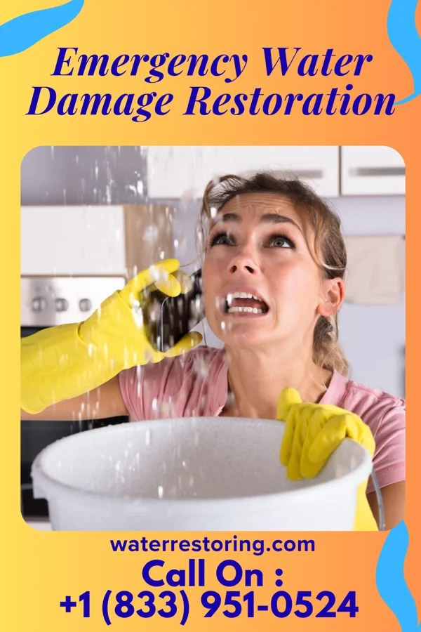 Emergency Water Damage Restoration in Bedias, TX
