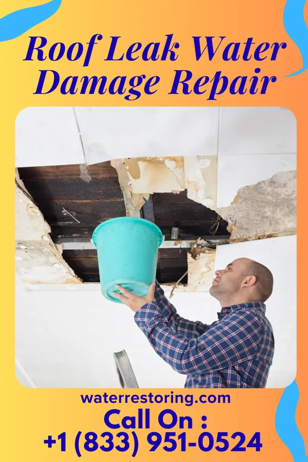 Roof Leak Water Damage Repair in Bedias, TX